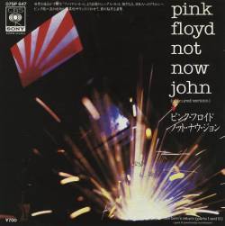 Pink Floyd : Not Now John